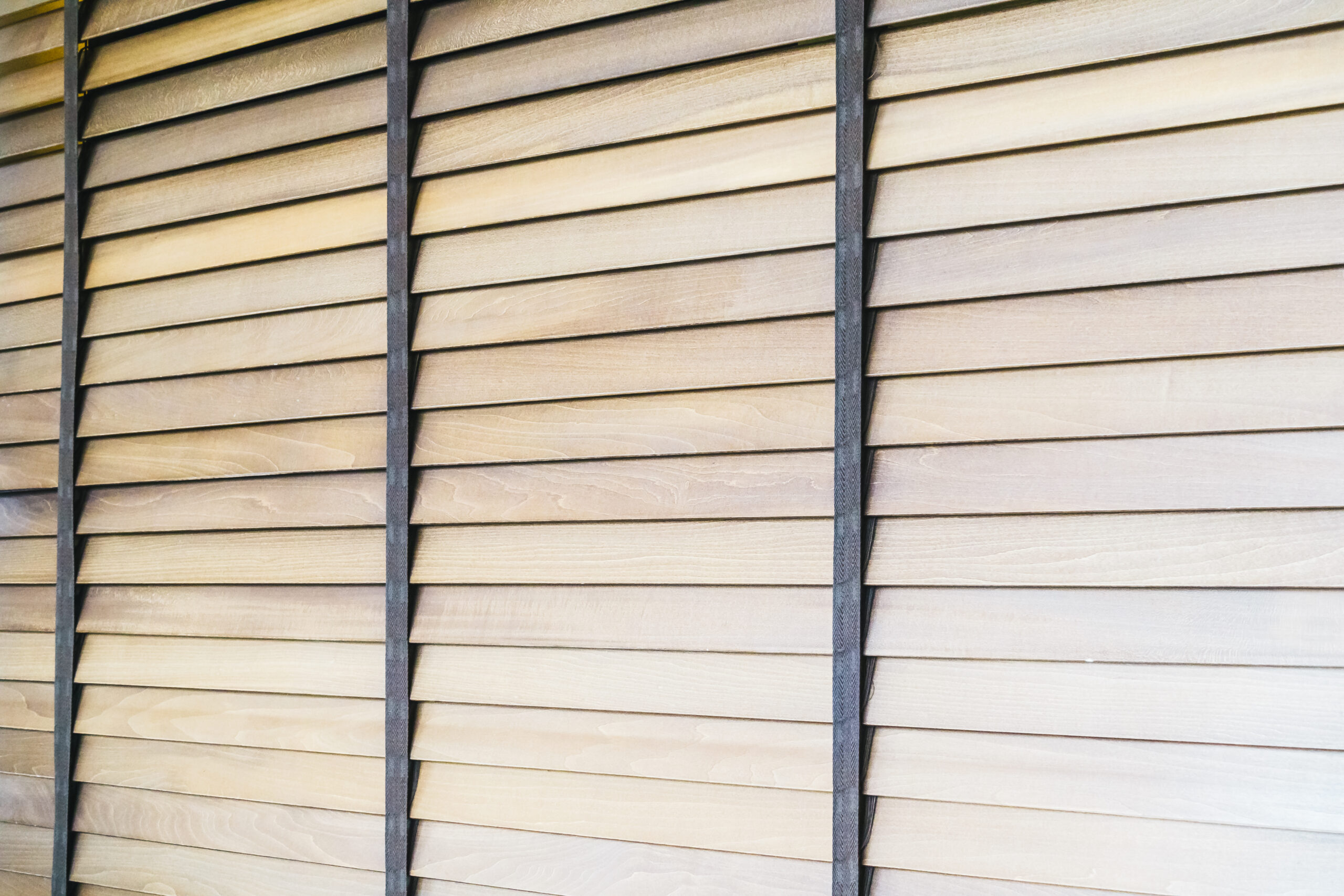 Venetian Blinds